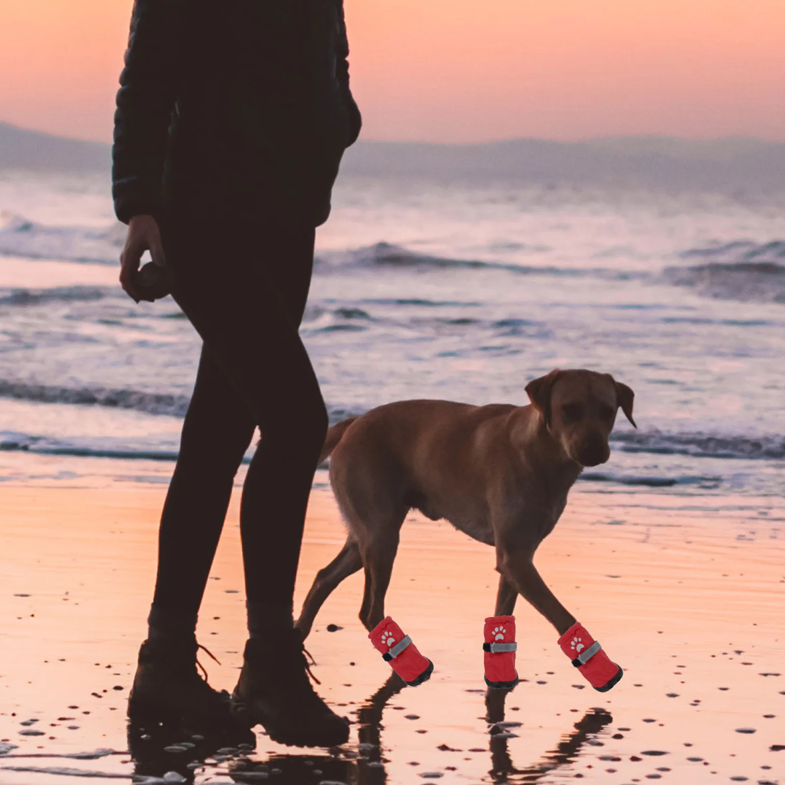 

4 Pcs Dog Paw Protection Boots Waterproof Pet Shoes for Dogs Paws Snow Red Small