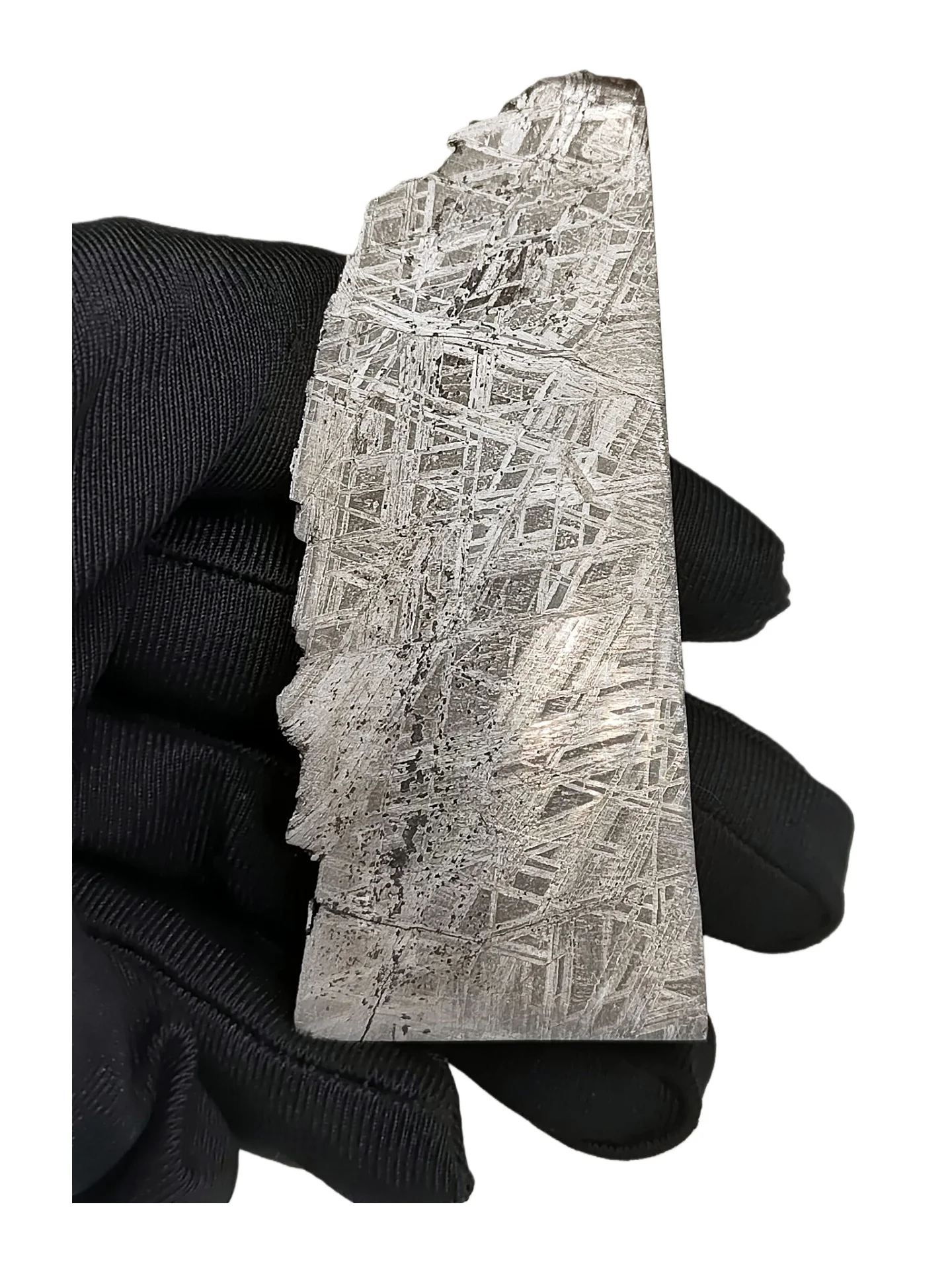96.3g Namibian Gibbon Iron Meteorite G Iron Ore Section Specimen Slices Collectable and Processable -TC673