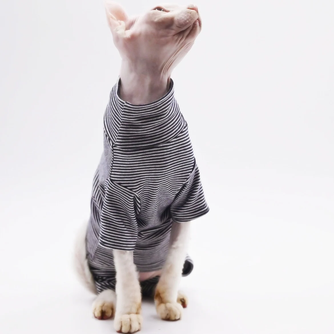 柔らかく耐久性のあるヘアレス猫の服,小さな猫のための4つの高さのspynx服