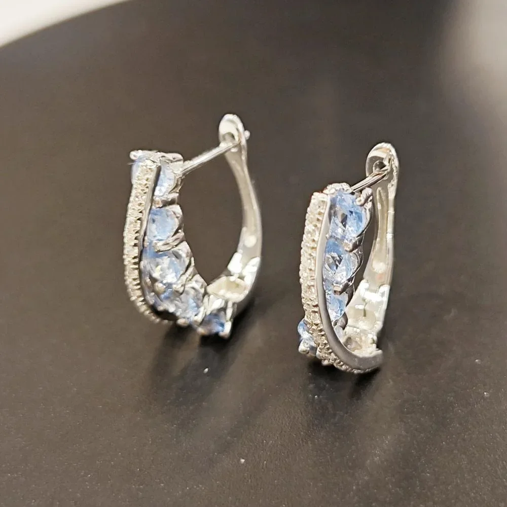 

Blue Earring X Shaped Clip Earrings for Women 3.5mm Zircon 925 Sterling Silver Earring Valentine's Day Gift Fashion Jewelry