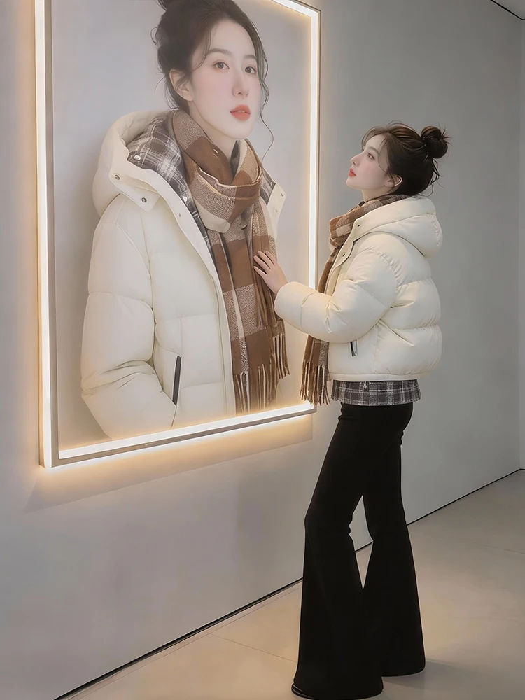 

Элегантное женское зимнее стеганое хлопковое пальто: теплая верхняя одежда в корейском стиле, укороченная длина, на молнии