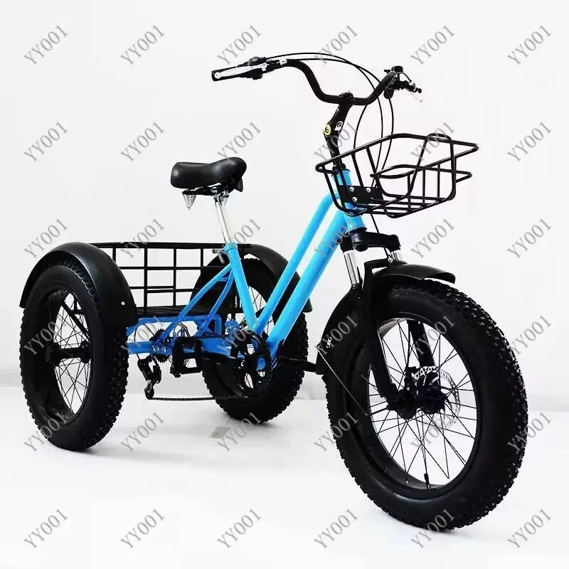 

20-24 Inch Electric Assisted Tricycle Variable Speed Snow & Land Use Lightweight Cargo Bike