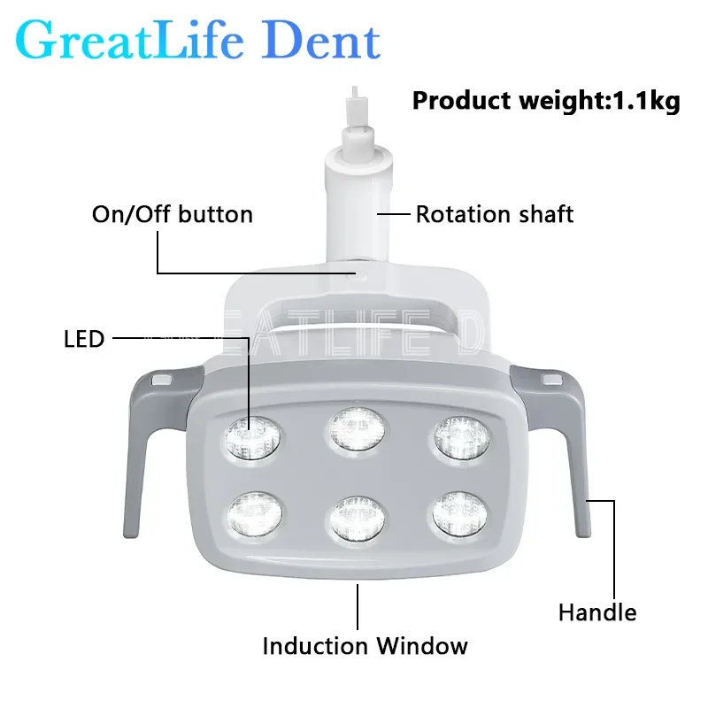 GreatLife-Unidad de silla Dental Dent 6 LED, operación Oral, lámpara quirúrgica, luz Led