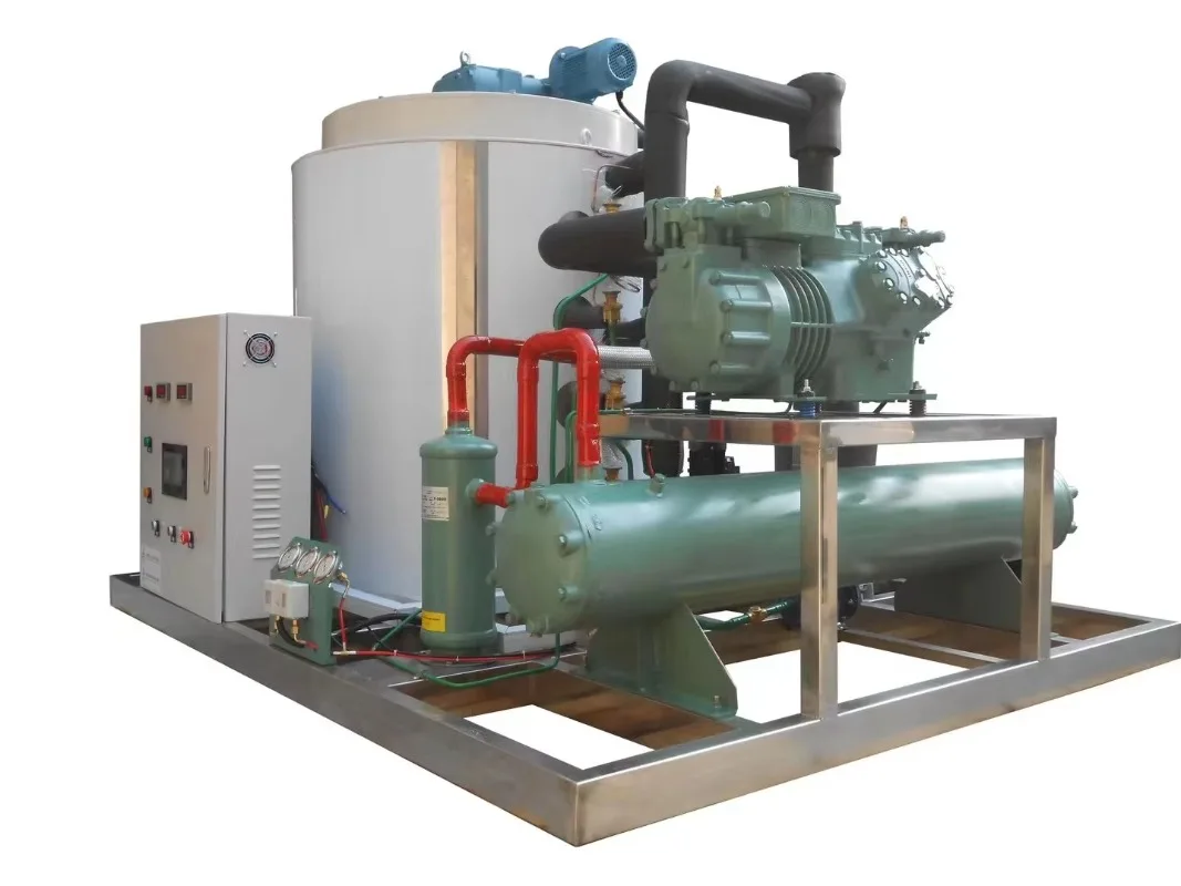 Industrial Flake Ice Machine 1ton 24h First Class for Aquatic Processing Plant Fish Meat Cooling Custom
