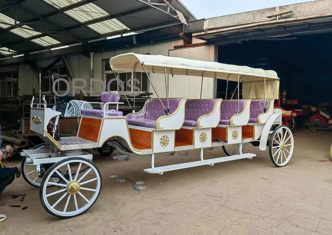 2024 Horse carriage  Electric vehicle  Customized High quality Fangyu brand Sightseeing carriage COC Hot selling