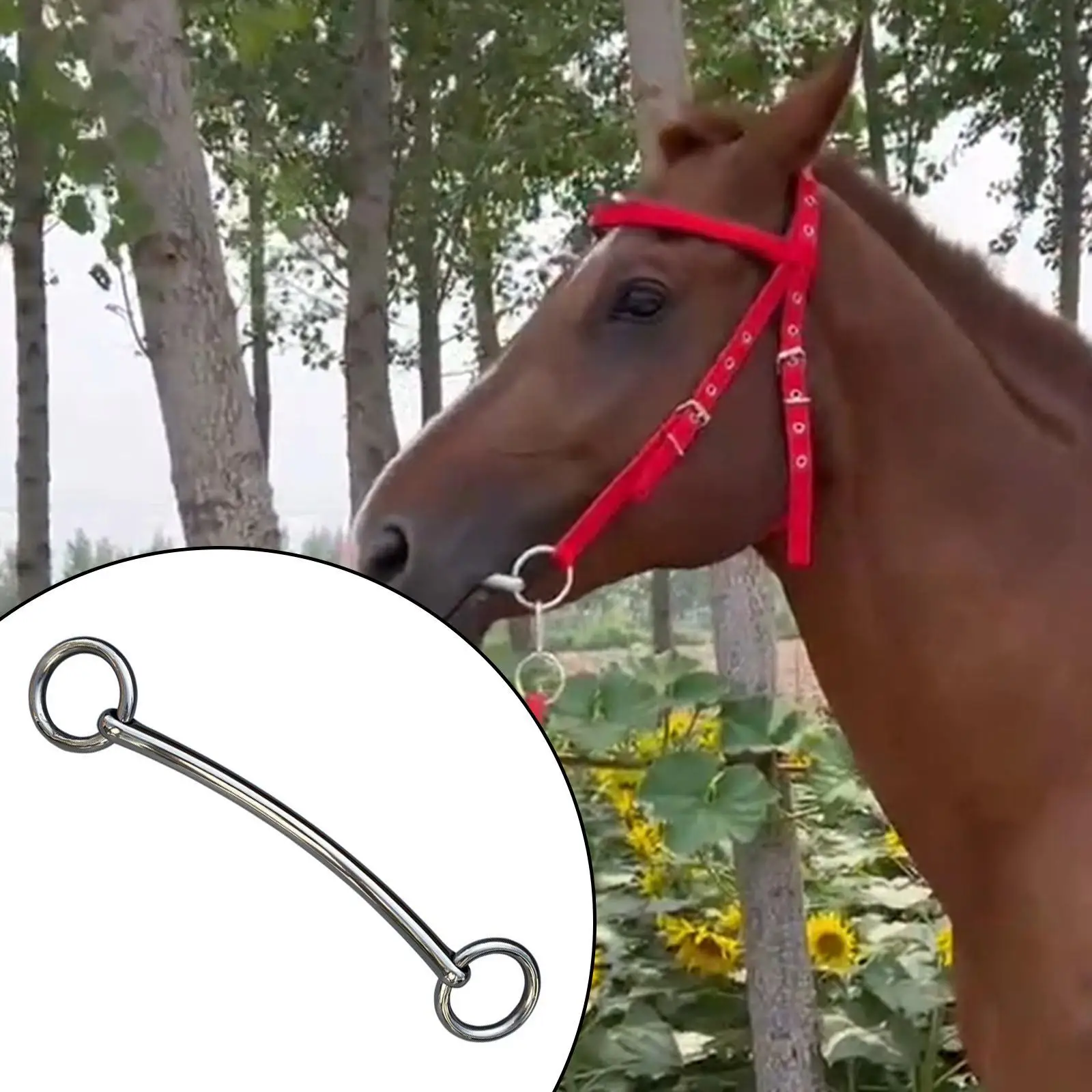 

Stainless Steel Pony Snaffle, Horse Riding Snaffle Bit, Portable Pony Mouth Bit for Enthusiasts