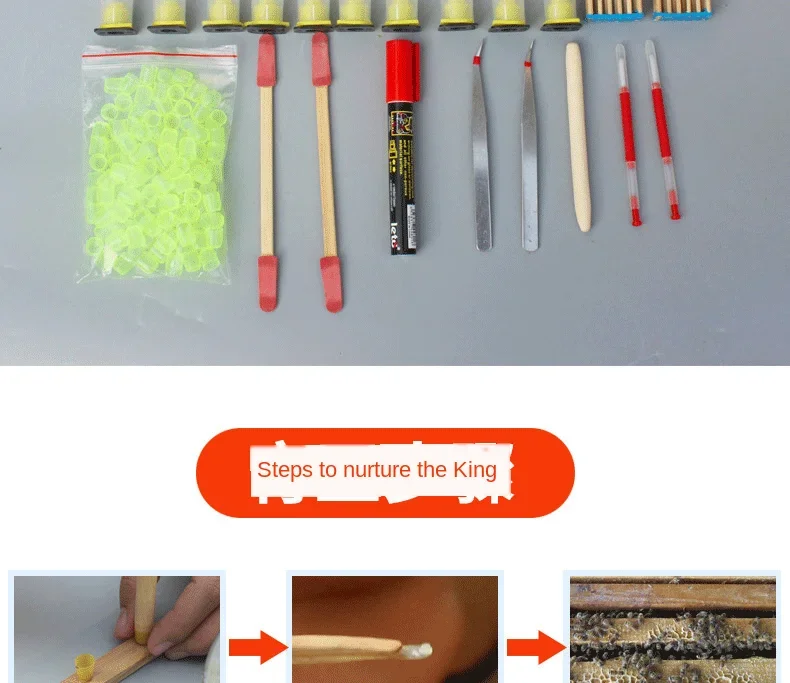 أدوات النحل Yuwang مجموعة كاملة النحل فقط الزراعة الاصطناعية الملكة يو وانغ كوانغ وانغ منصة الغطاء الواقي أداة الكتابة على الجدران