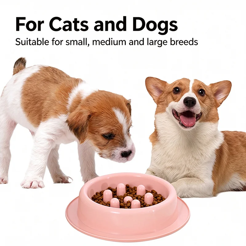 Miska dla psa z funkcją spowal – Royal Canin Food Medium recenzja i cena
