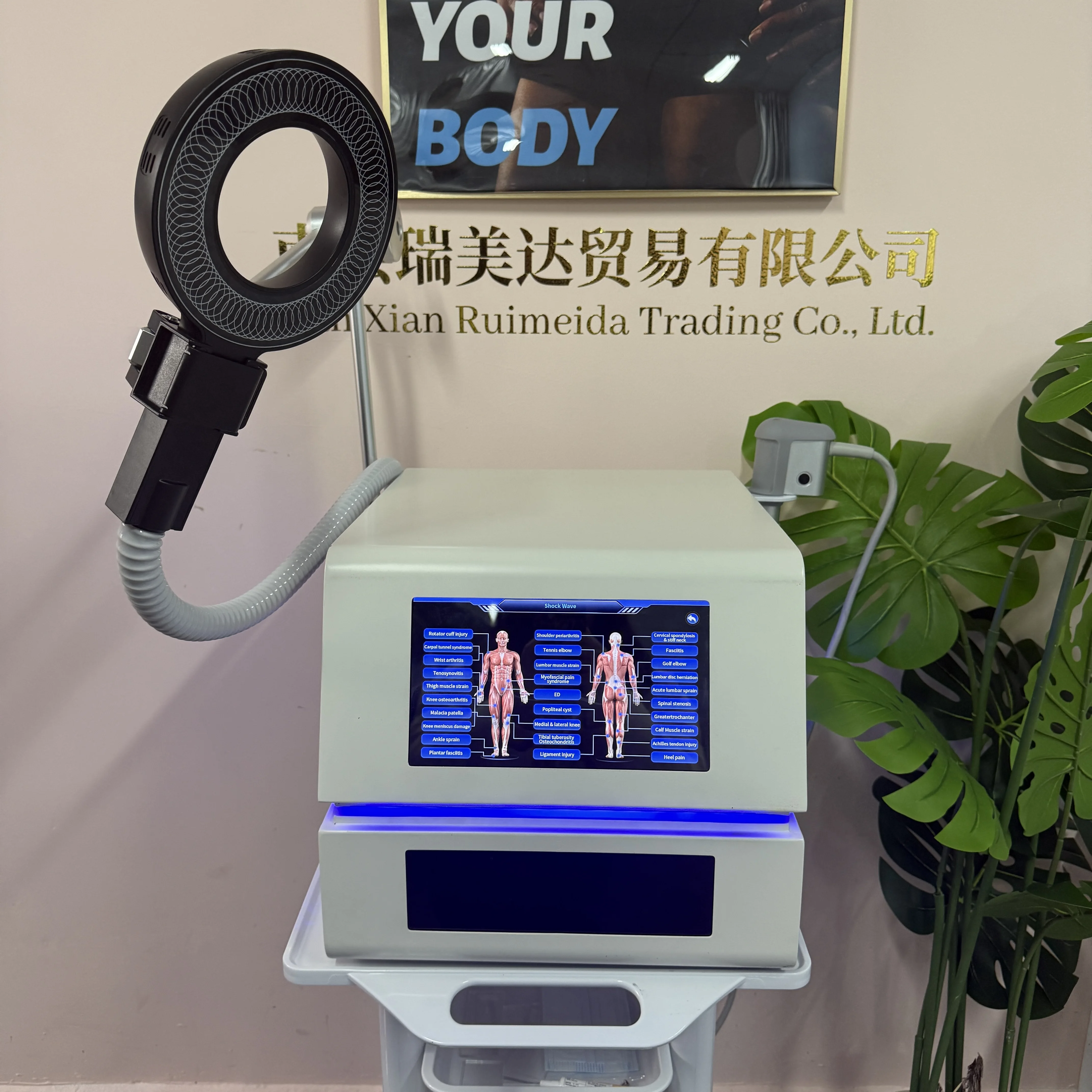 

Аппарат магнитотерапии и ударно-волновой терапии для снятия мышечной боли, расслабления тела, ежедневного восстановления, для домашнего и клинического использования