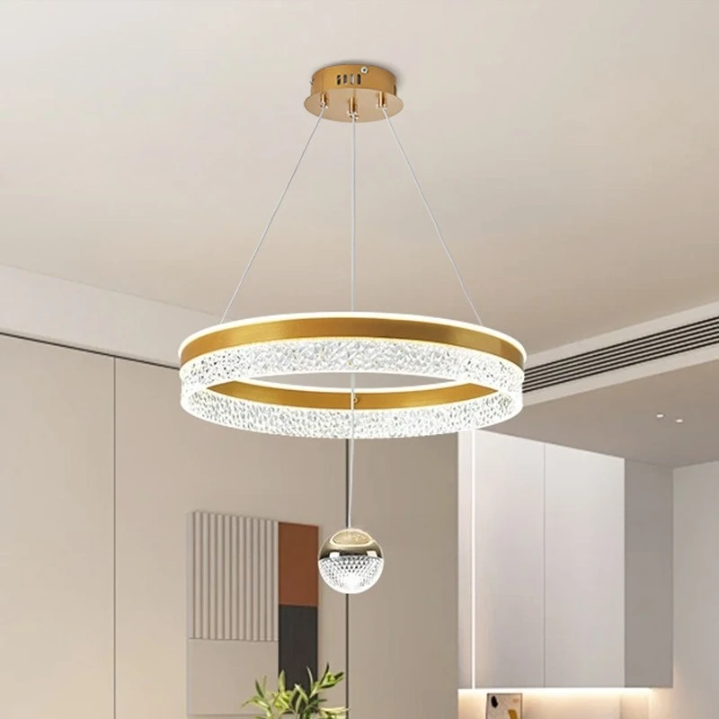 Modern Minimalist Circle Acrylic LED Pendant Light Living Room Restaurant Bedroom Kitchen Designer Personality Art Hanging Lamps