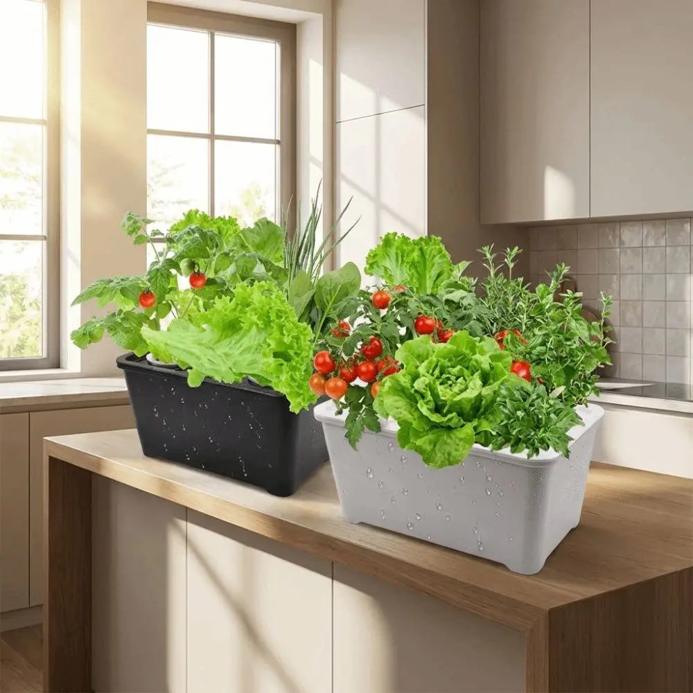 6 Holes Hydroponic Grower Kit Self Watering Plastic Nursery Pots Planting Container Thicken Versatile Cultivation Box