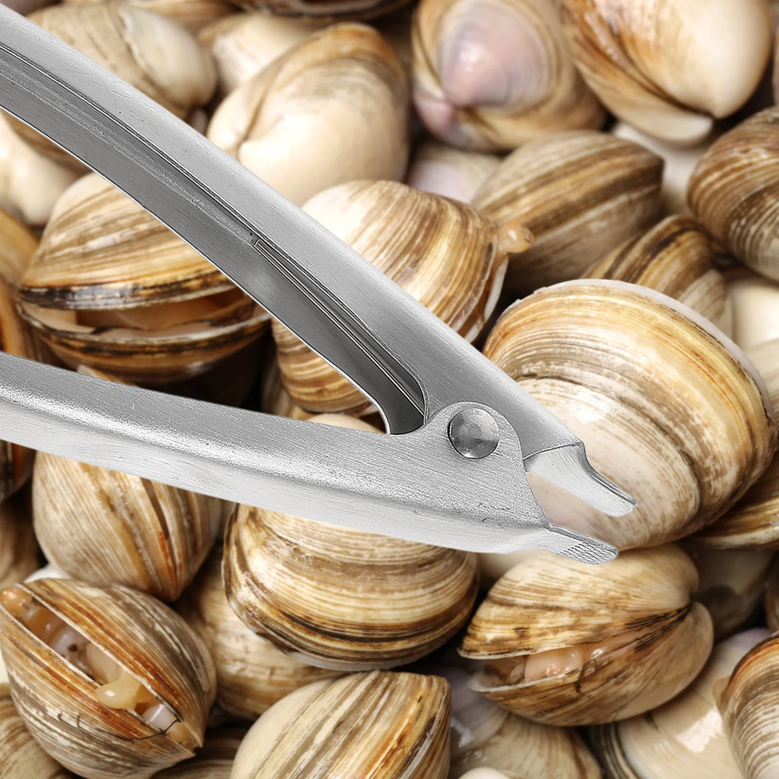 

Stainless Steel Opener Professional Clam Clamp Anti-Slip Texture Effortless Clam Opening Tool For Kitchen Restaurant Barbecue