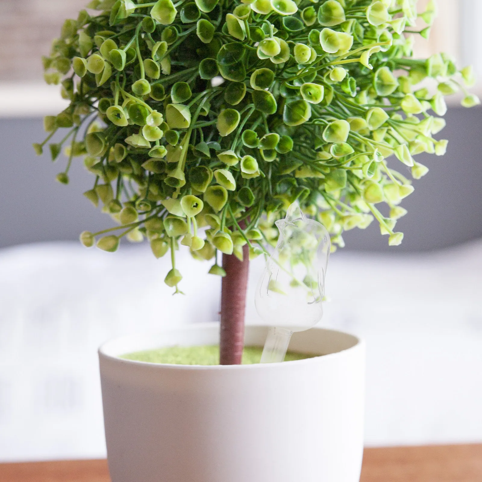 Dispositivo Automatico di Irri - Bonsai Garden Plants recensione e prezzo