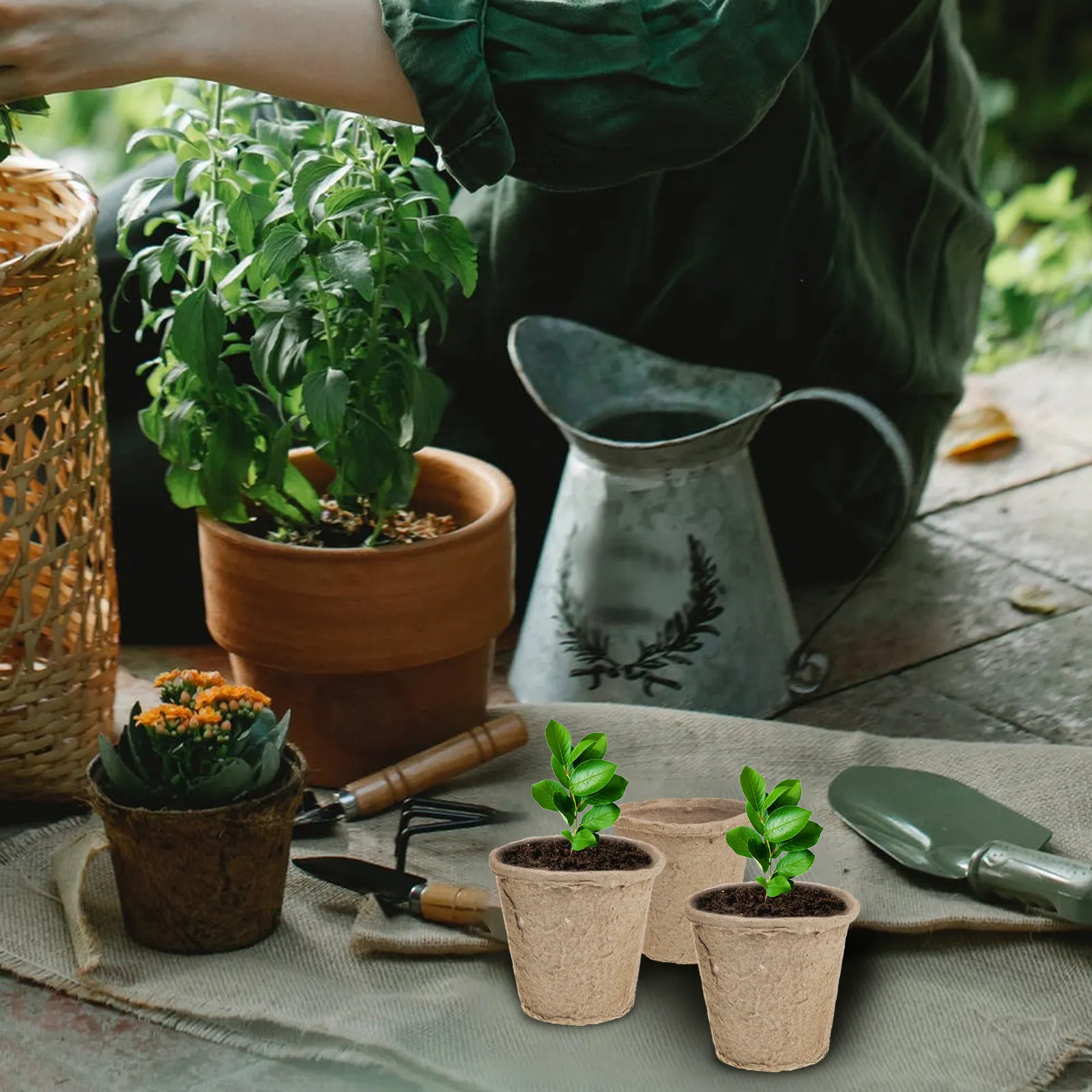 

40Pcs Eco Friendly Plant Nursery Cups High Quality Biodegradable Pots for Greenhouse Sprouting and Garden Cultivation