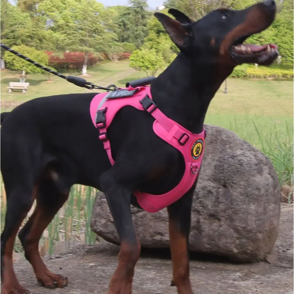 Suministros para gatos, conjunto de correa reflectante para perros, Anti Escape, sin tirones, correa para el pecho para mascotas, arnés grande transpirable ajustable para perros, chaleco de viaje