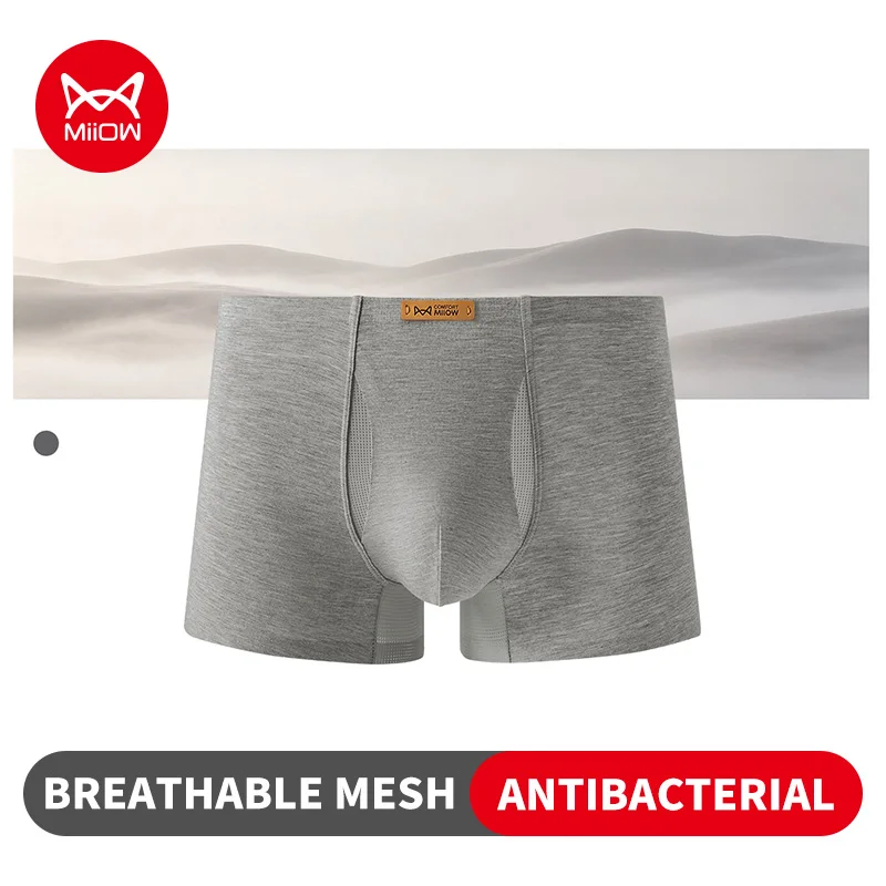 MiiOW 3/4Pcs Basic Men Underpants Man Breathable Comfortable Boxers Shorts Mesh Crotch Men's Panties Plus Size Panties Underwear