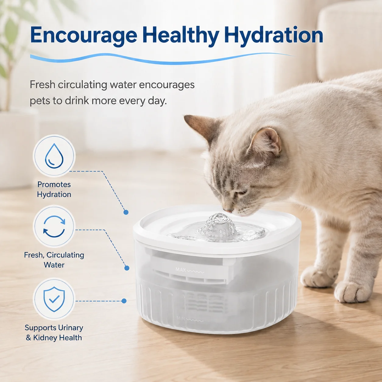 3L Pet Su Çeşmesi Otomatik Ked - Automatic Cat Water Dispenser 3L incelemesi ve fiyatı