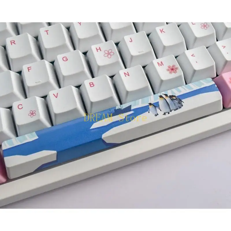 Capas juego Gaming Drable PBT 6.25U Space KeyCap Perfil OEM Perfil tinte KeyCap para teclado mecánico Mejor venta