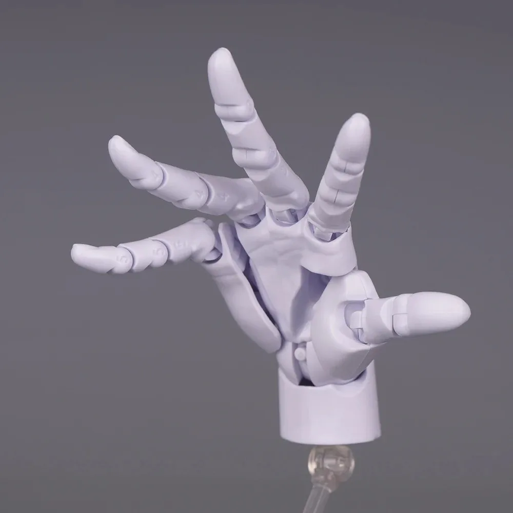 1:2 Scale Human Hand Model Mini Size Movable Joints Palm Model With Posable Fingers Twisted Egg Design Movable Finger Joints