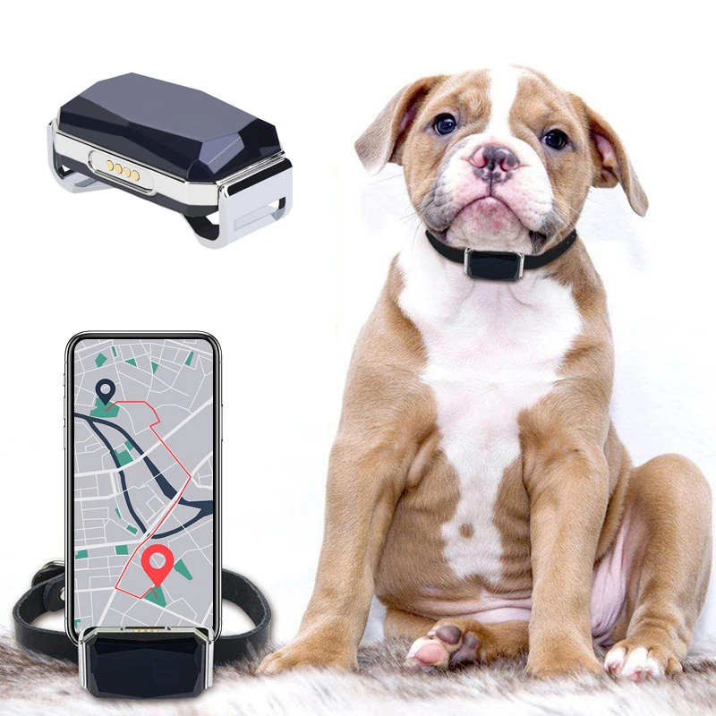 

2 in 1 Personal & Pet Mini GPS Tracker, Detachable Design, APP Real-Time Location, Historical Trajectory Playback Geofence Alarm