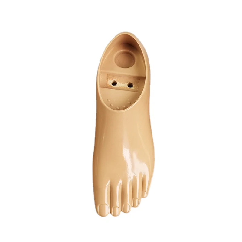Best Selling Artificial Limbs Polyurethane  Prosthetic Foot Two Hole Double Axis Foot for Foot Prosthesis
