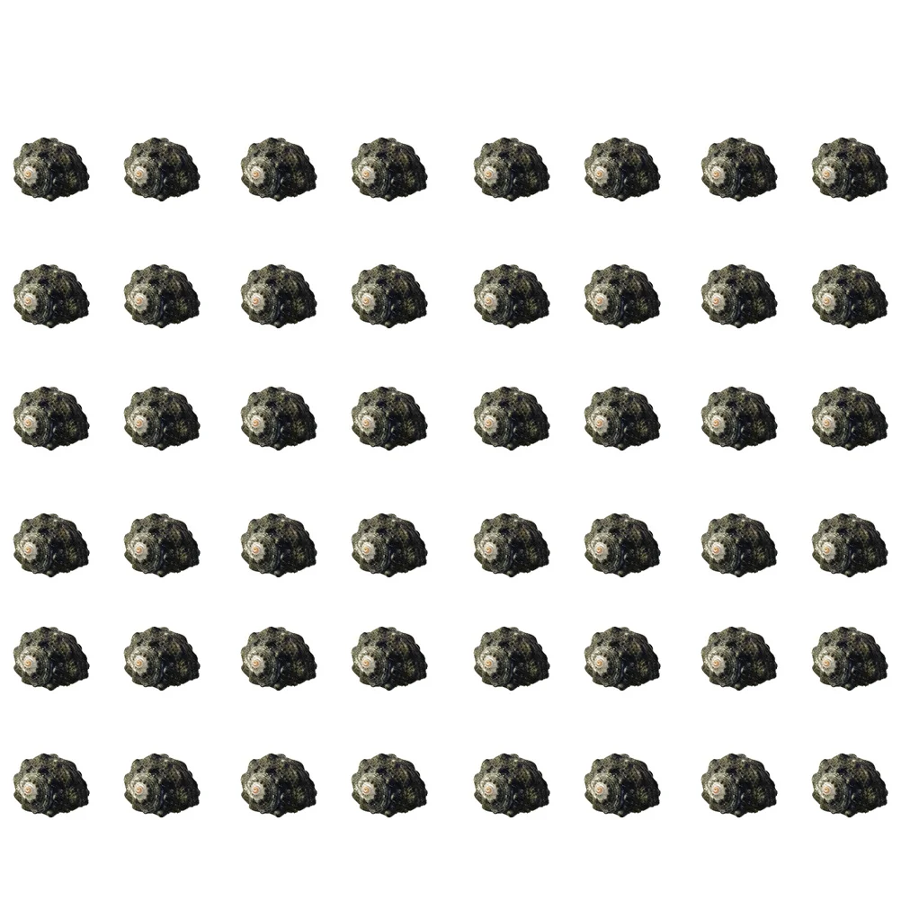 

100pcs Natural Conch Landscape Decor For Fish Tank Aquarium Diy Craft Micro Landscaping Creative Home Pet Supply