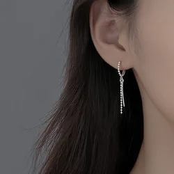 REETI 925 Sterling Silver Earrings Chain Earring Creative Hot Sexy Jewelry For Women Gift Customized