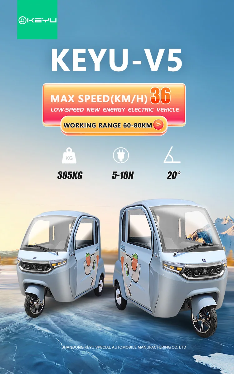 Direct Sales Low-speed 1000W 60V Electric Passenger Tricycle for Adults