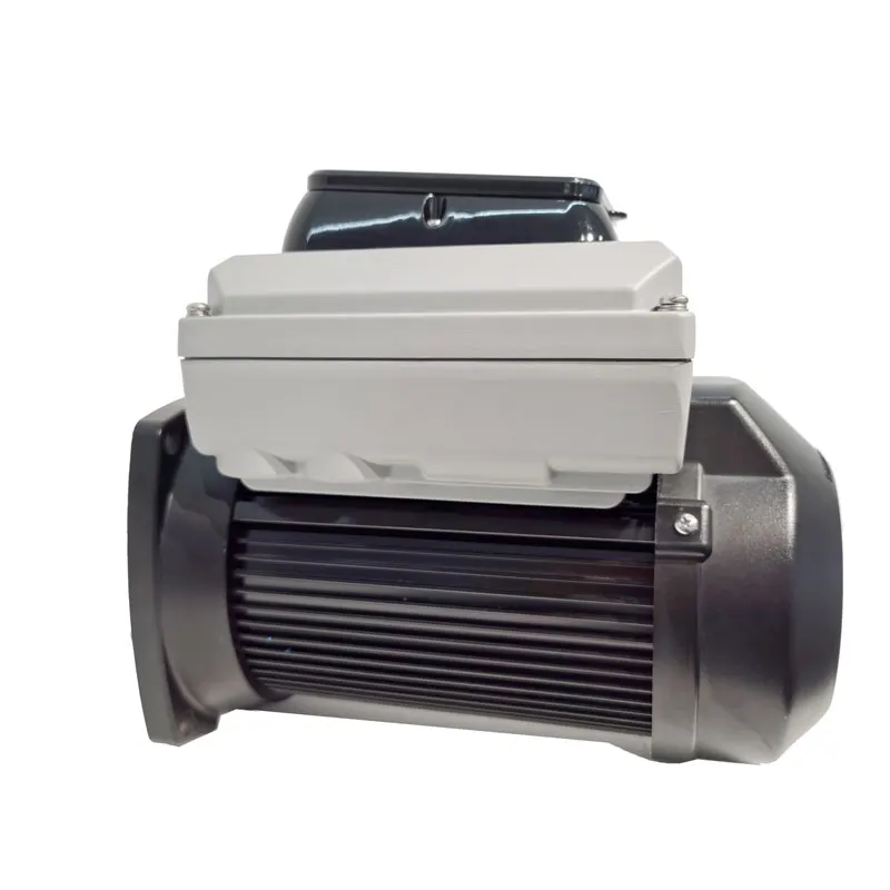 VSM18SQ Custom Logo 2 Spa Piscina Water Swimming Pool Pump Circulation Motor Variable Speed Pool Water Pump