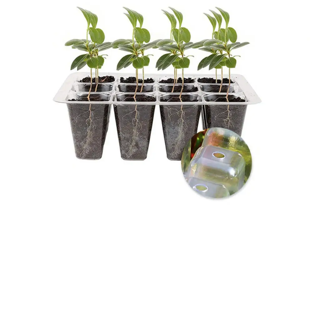 Plant Grow Light Starter Kit High Dome Greenhouse Nursery Equipment For Indoor Home Gardening And Propagation