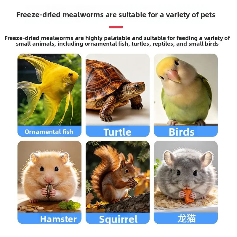 VOONLINE Freeze Dried Mealworms Fish & Turtle Food, High Protein Natural Diet for Aquarium Fish & Turtles, Color Enhancing