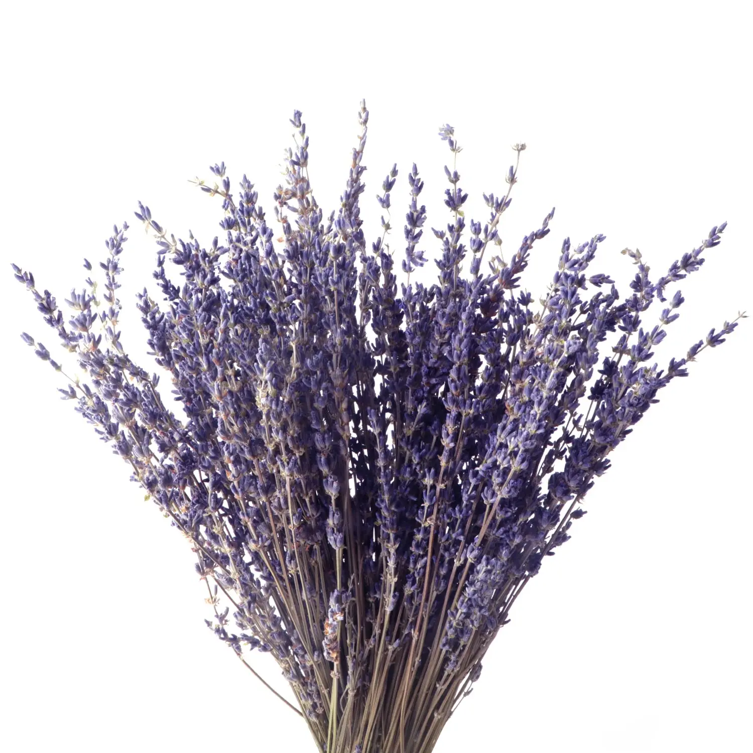 100g Natural Dried Lavender Flower Decor Lavender Flowers Dried Lavender Bouquets for Home Wedding Decor DIY Gifts Party Decor