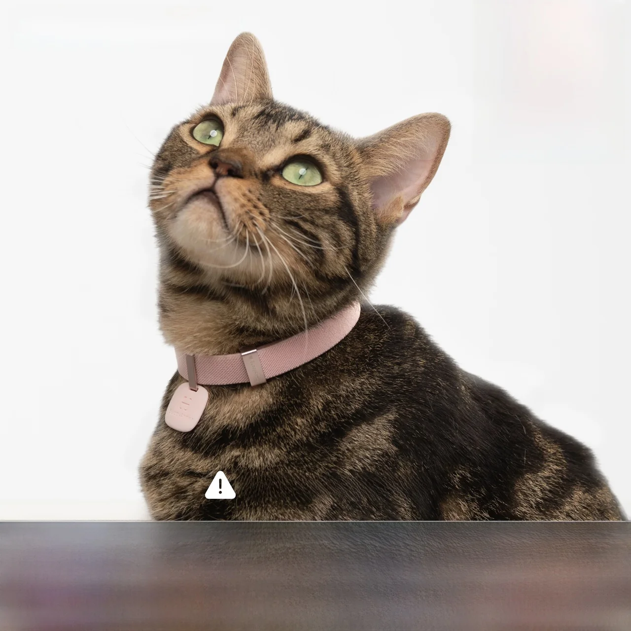 

Силиконовый ошейник Se Anti-Lost с QR-кодом ArmorBuddy для путешествий с питомцами, неэластичный, стандартный размер, Lea