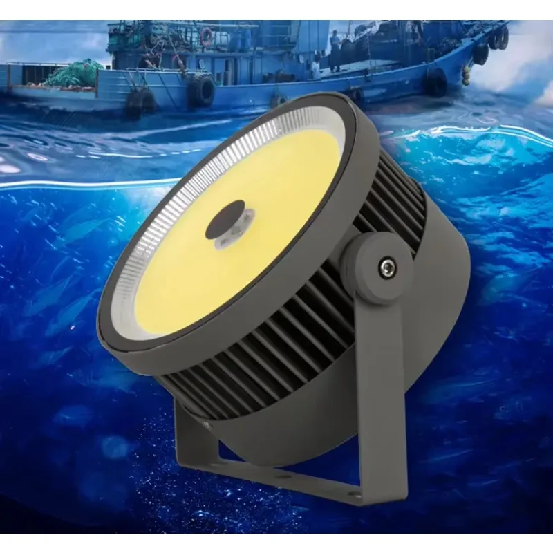 

Professional IP65 Outdoor Waterproof Light Emitting Diode Deep Fishing Light 1000W Fishing Boat Light