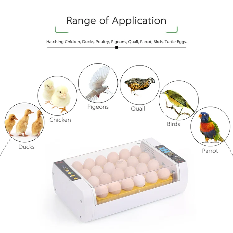 

HHD hot sale 2 fans design automatic smart love birds mini controller chicken bird egg incubator YZ-24A