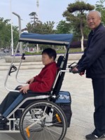 Bike Trailer For Children Adults Jogger & Trailer, Stroller 3 In 1 With 20 Inch Wheels