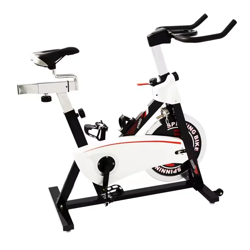 18 kg Flywheel Magnetic Sport Fitness Exercise Bike Indoor Home Use Belt Driving Spin Bike