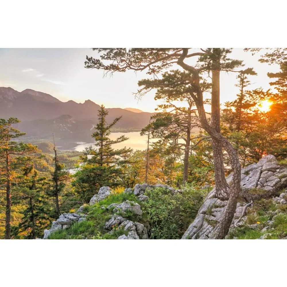 

ROCKET — RC 4274 4268 V2, бесщеточный двигатель с датчиком, вал 2600 кВ/2800 кВ, 5 мм для 1/8 RC Electric Monster Off — шоссейные гонки