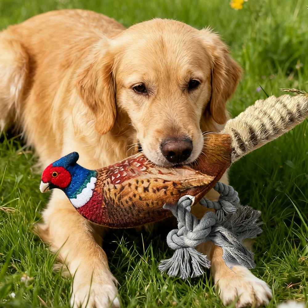 Thumbnail 4 - #12 Latest Puppy Rope Toys Offers