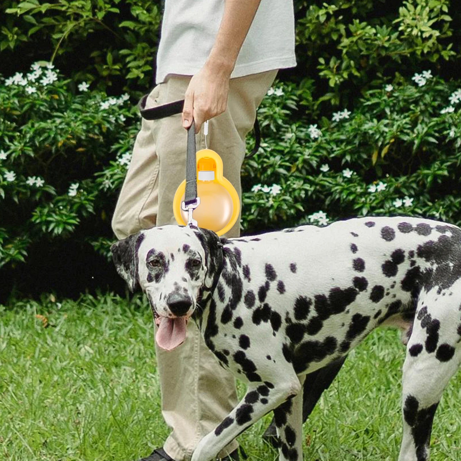 

Portable Pet Drinking Bottle Reusable Lightweight Dog Water Bottle for Walking Hiking Traveling Camping Outdoor Water Dispenser