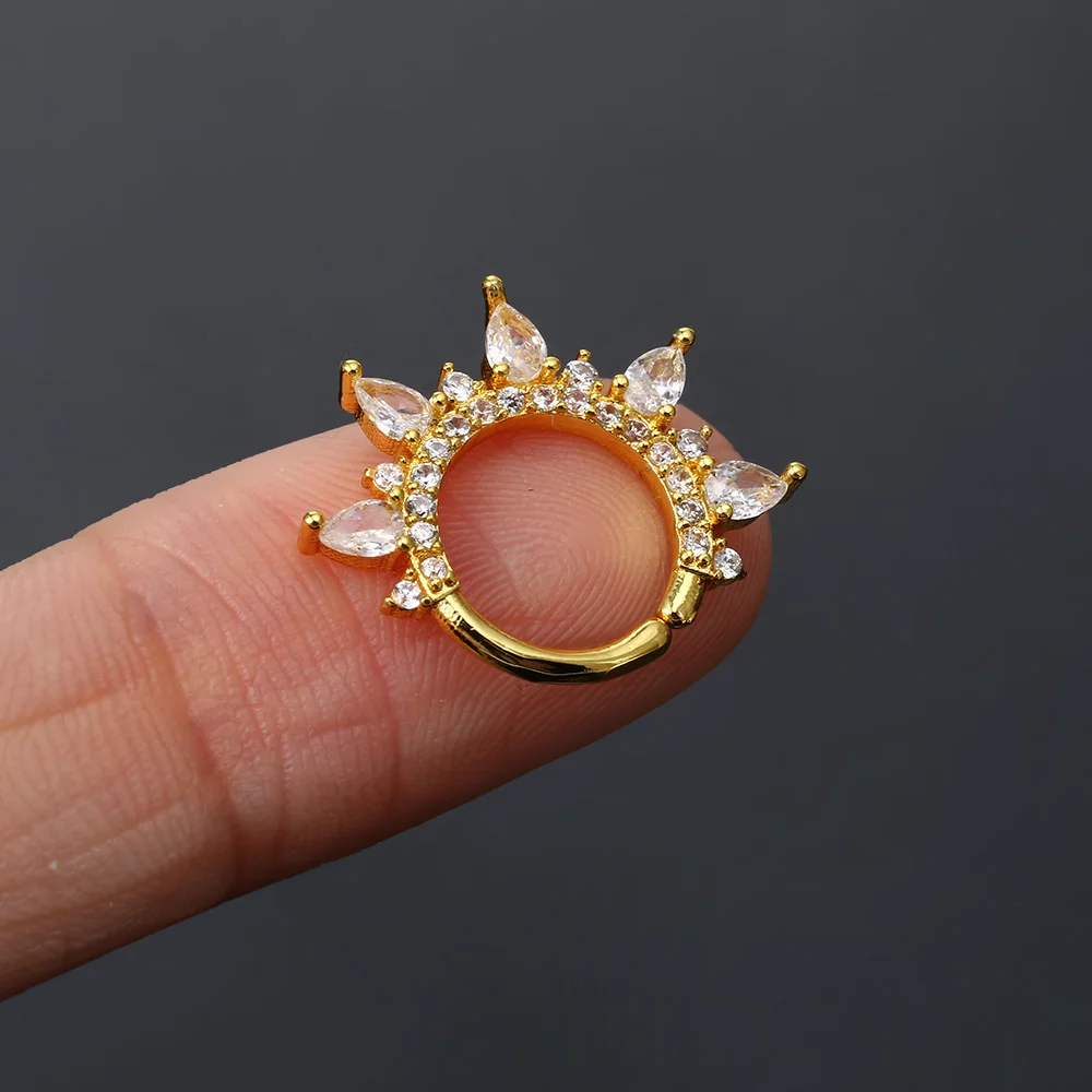 Conch Tragus Helix Daith Flat Piercing Ear Earring Zirconia Star Flower Crown Ear Piercing Jewelry Stainless Steel Hoop Earring