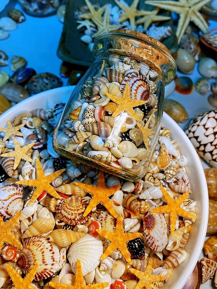 Six or seven kinds of ultra-small shell conch + starfish combination, about 400 pieces in a wishing bottle