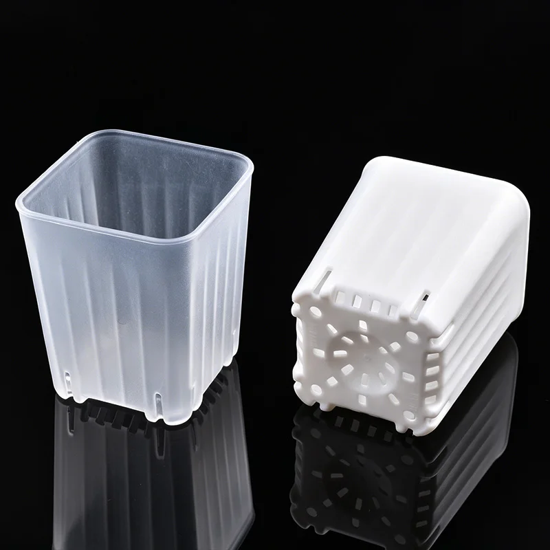 50-100Pcs 4cm Mini Thicken White/Transparent Square Flower Pot For Seedling Cultivation Breathable Succulent Plant Pot Seed Tray view 4
