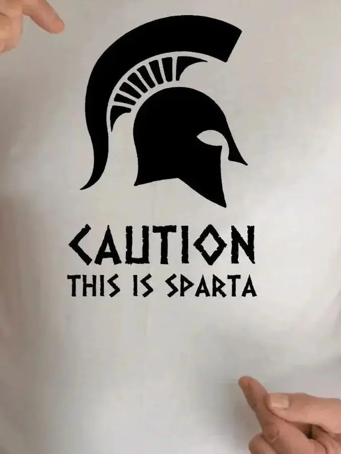 

Sparta, 300, Spartaner Fun T Shirt Men's 100% Cotton Casual T-shirts Loose Top Size S-3XL