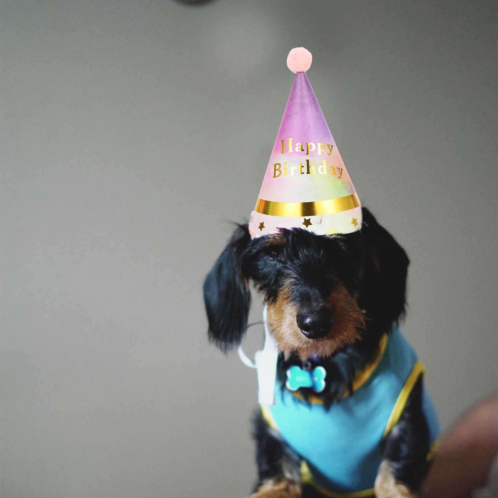 

10 Pcs Dog Birthday Hats Pet Party Adjustable Photo Props Decorative Bright Colors Small Medium Pets Dog Hat Pet Cone Caps