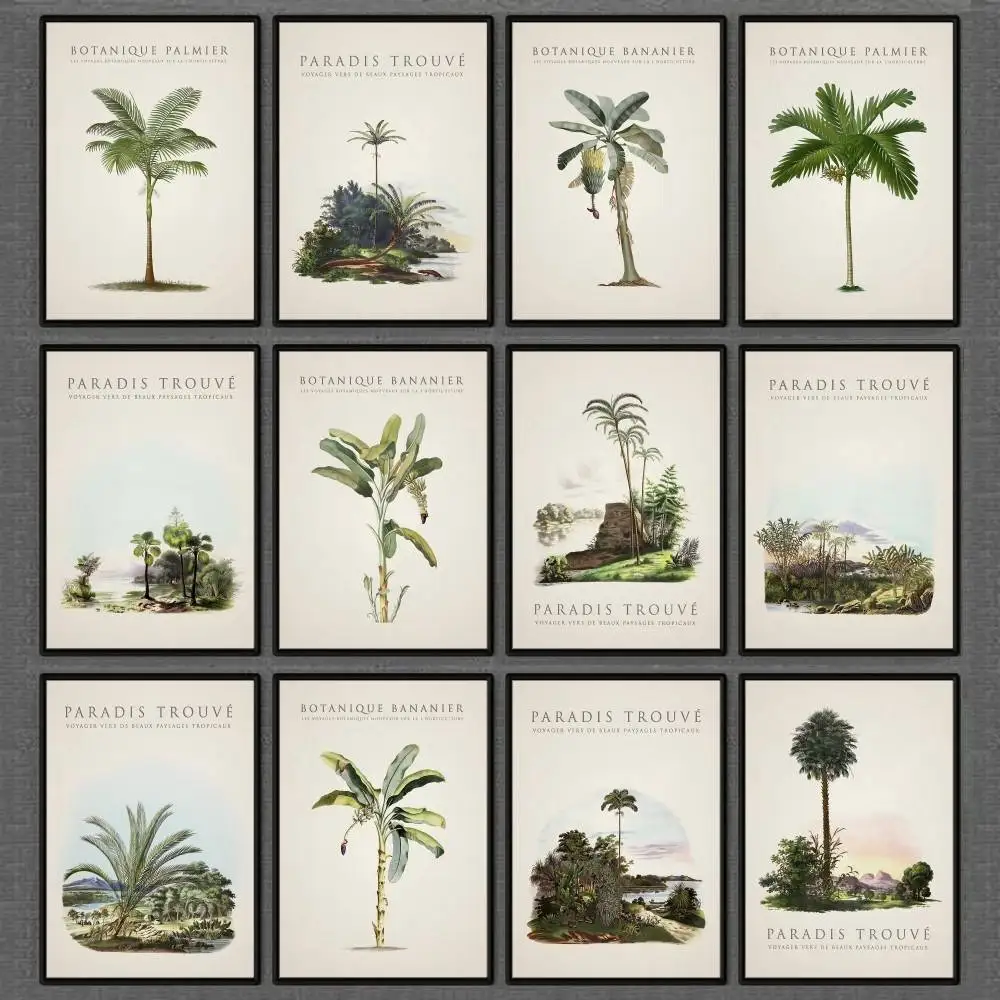 Tropical Palm and Banana Tree Poster Vintage Botanical Prints Picture Island Wall Stickers Paintings Home Living Room Decor view 2