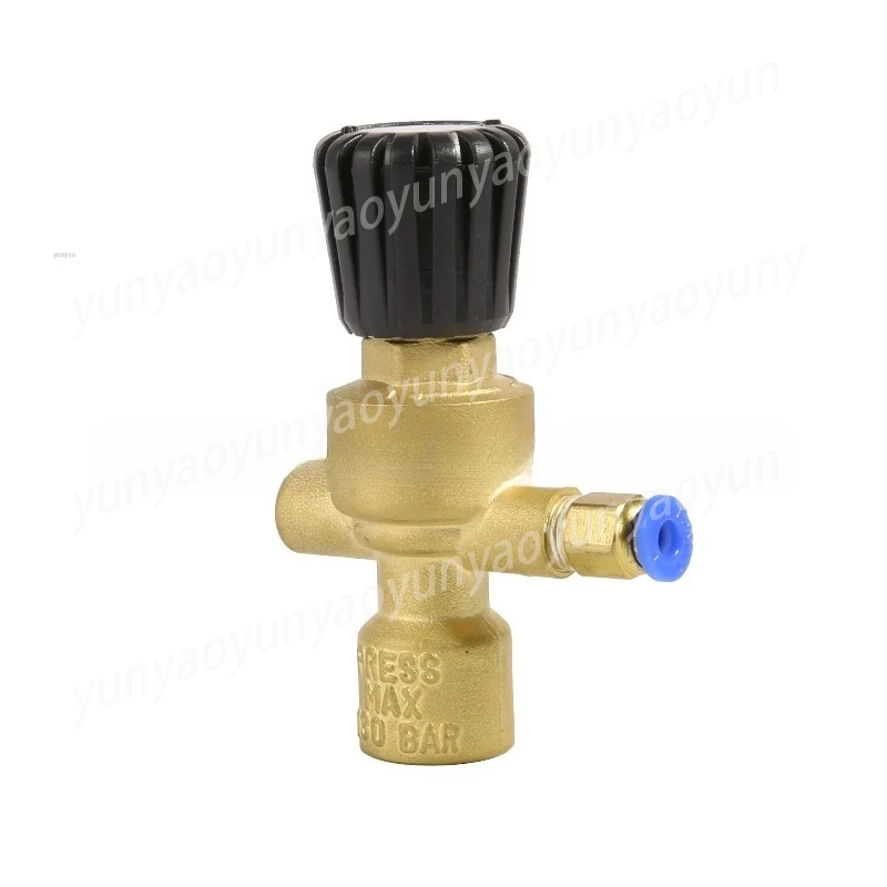 36V 220V Argon CO2 Reducer Mini Welding Regulator Gauge Precise Adjust Air Control Industrial Accessory