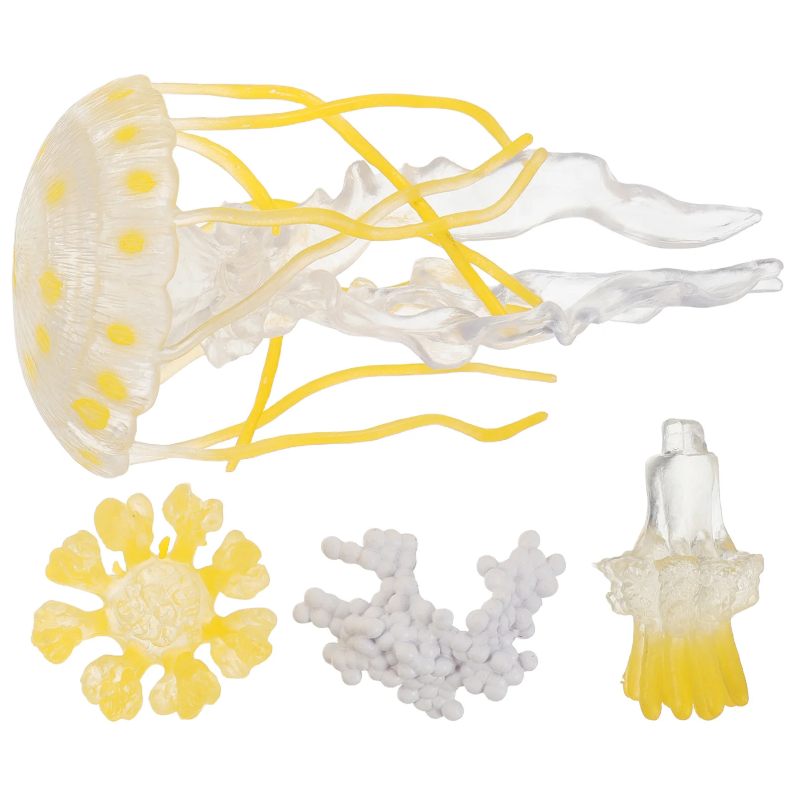 

1Set Ocean Life Cycle Set Realistic Jellyfish Simulation for Toddler Preschool Education Desktop Aquarium Decoration Science