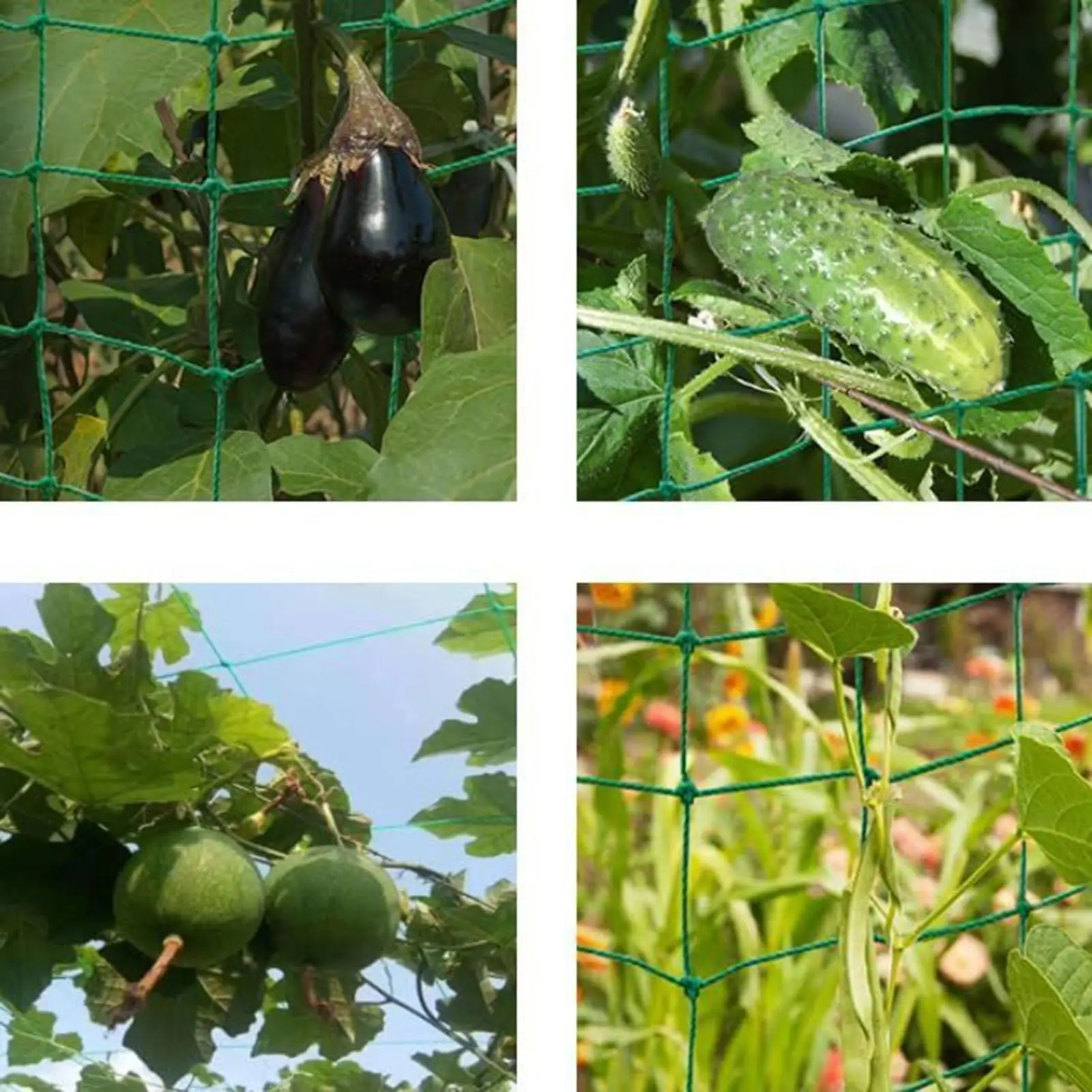 

Garden Plant Trellis Net 2x5m Vegetable Climbing Support Netting Mesh Plant Growing Trellis For Cucumber Tomato Eggplants Grapes
