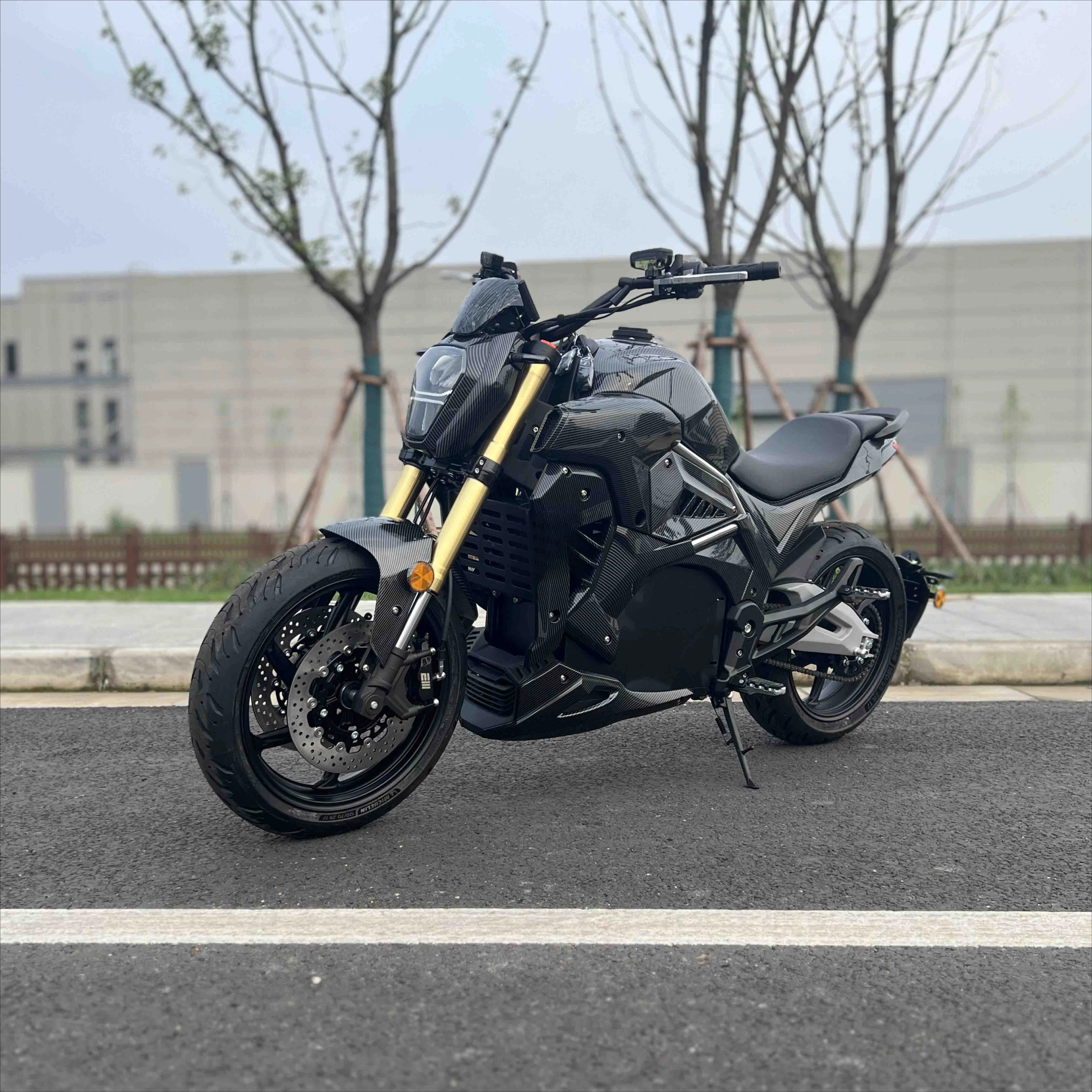 SXLL Diavel New Design Chain Drive Motor 130km/h 72V120Ah Lithium Li-NCM Battery Cruiser Moped Street Electric Motorcycle Bike